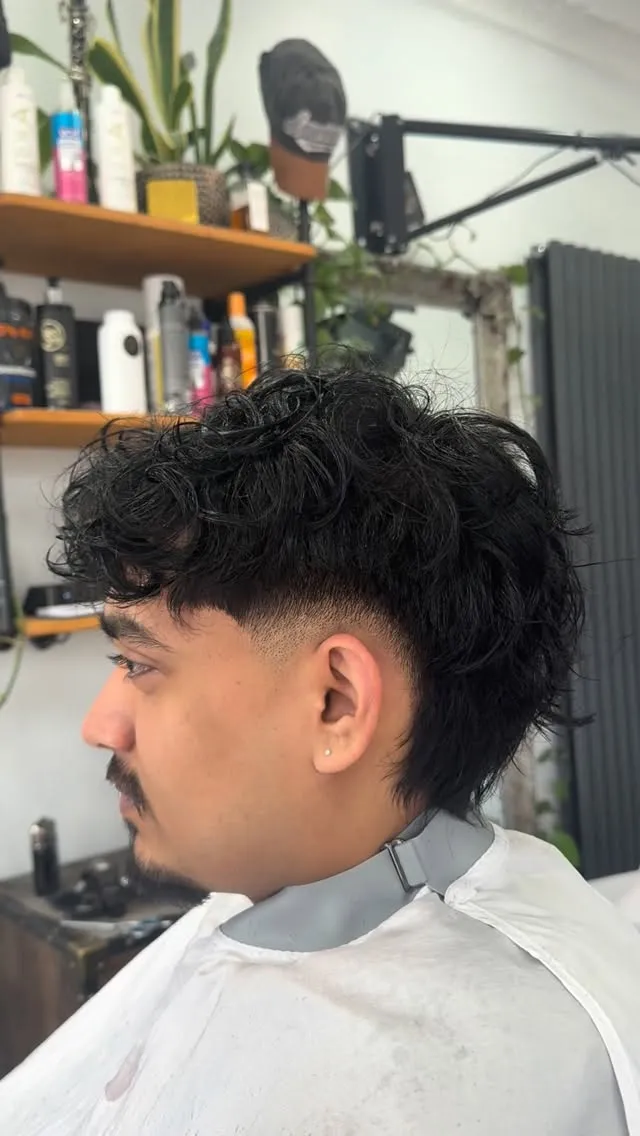 Curly top with a taper
